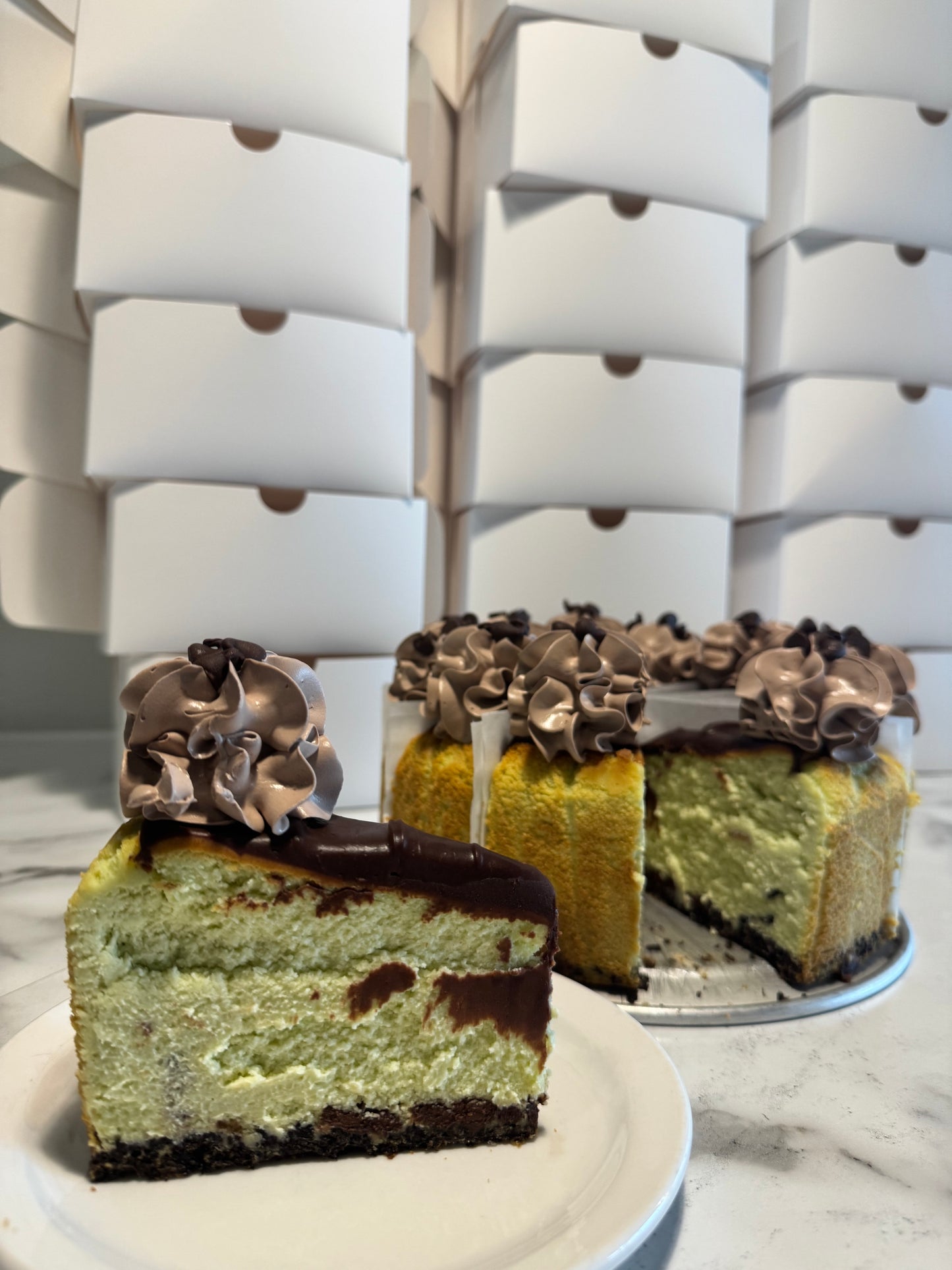 Mint Chocolate Chip
